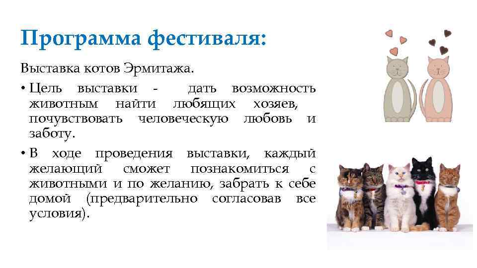 Программа фестиваля: Выставка котов Эрмитажа. • Цель выставки дать возможность животным найти любящих хозяев,