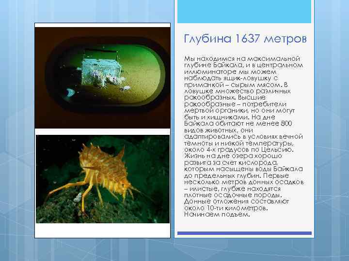 Глубина 1637 метров Мы находимся на максимальной глубине Байкала, и в центральном иллюминаторе мы