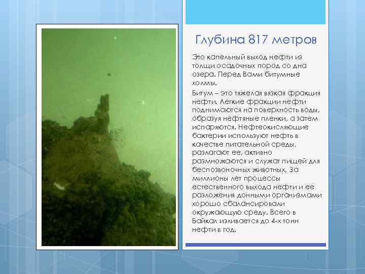 Глубина 817 метров Это капельный выход нефти из толщи осадочных пород со дна озера.