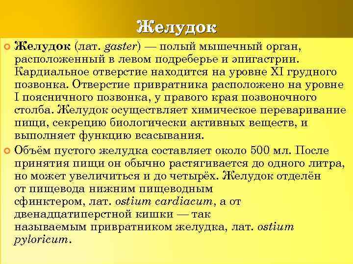 Желудок (лат. gaster) — полый мышечный орган, расположенный в левом подреберье и эпигастрии. Кардиальное