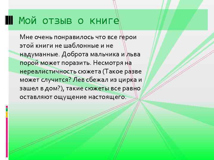 Мой отзыв о книге Мне очень понравилось что все герои этой книги не шаблонные