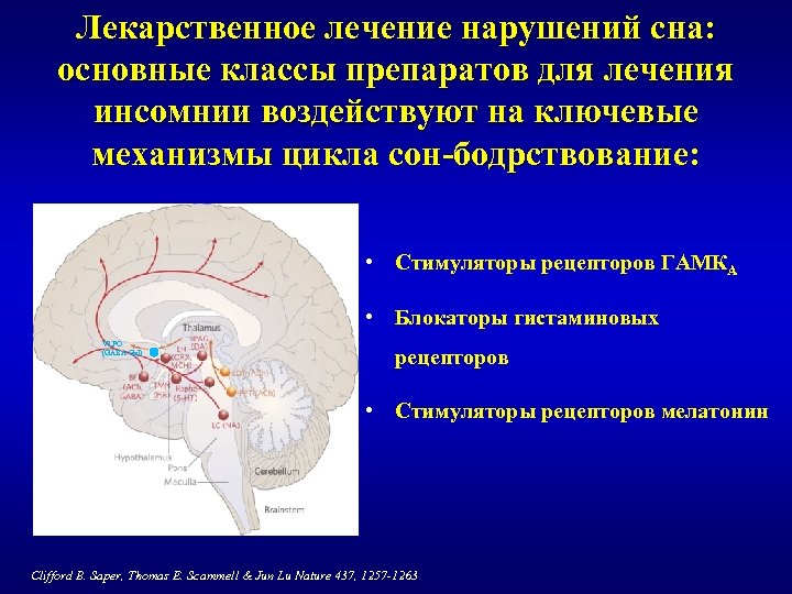 Лекарственное лечение нарушений сна: основные классы препаратов для лечения инсомнии воздействуют на ключевые механизмы