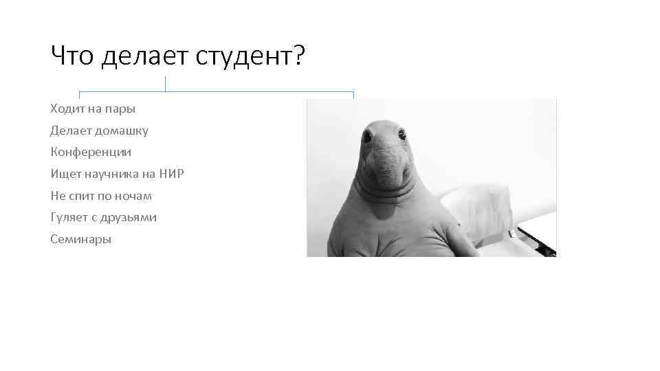 Что делает студент? Ходит на пары Делает домашку Конференции Ищет научника на НИР Не