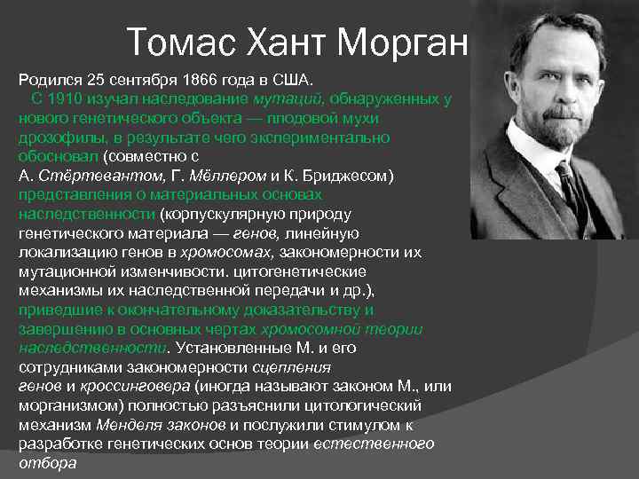 Томас морган презентация