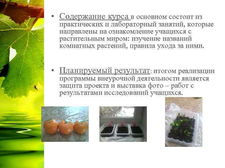  • Содержание курса в основном состоит из практических и лабораторный занятий, которые направлены