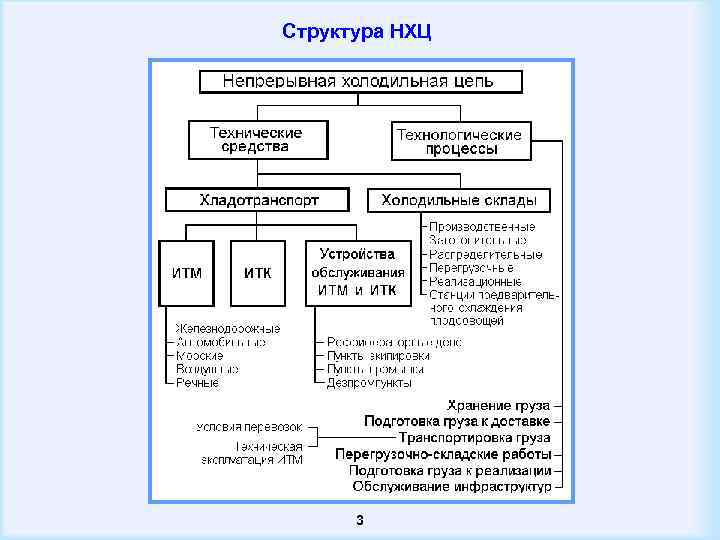 Структура НХЦ 3 