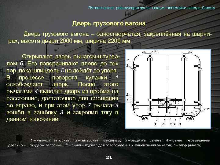 Пятивагонная рефрижераторная секция постройки завода Дессау Дверь грузового вагона Дверь грузового вагона – одностворчатая,
