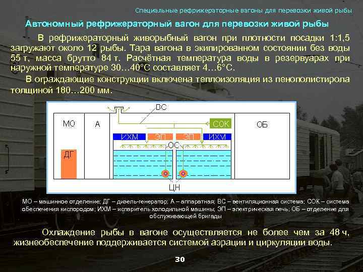 Специальные рефрижераторные вагоны для перевозки живой рыбы Автономный рефрижераторный вагон для перевозки живой рыбы