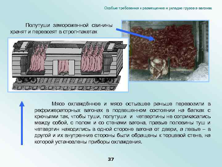 Особые требования к размещению и укладке грузов в вагонах Полутуши замороженной свинины хранят и