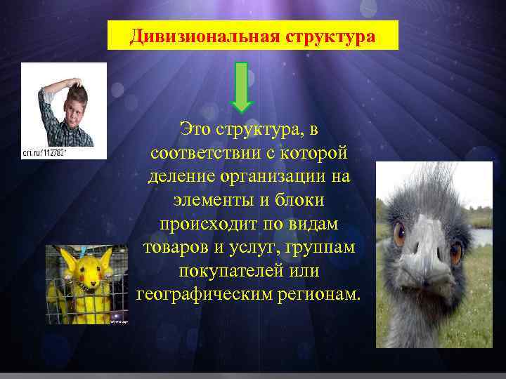 Дивизиональная структура Это структура, в соответствии с которой деление организации на элементы и блоки