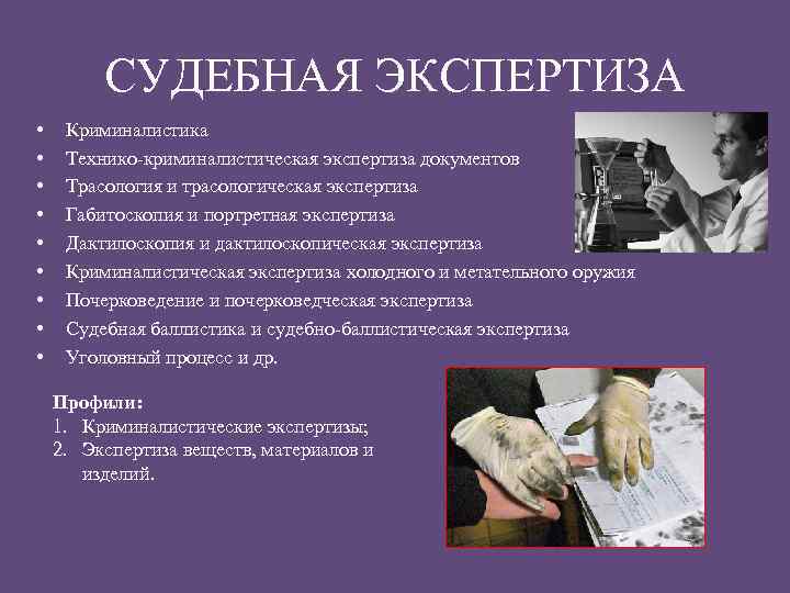 СУДЕБНАЯ ЭКСПЕРТИЗА • • • Криминалистика Технико-криминалистическая экспертиза документов Трасология и трасологическая экспертиза Габитоскопия