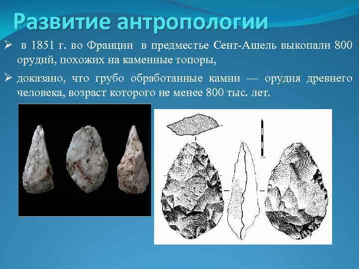 Развитие антропологии Ø в 1851 г. во Франции в предместье Сент-Ашель выкопали 800 орудий,