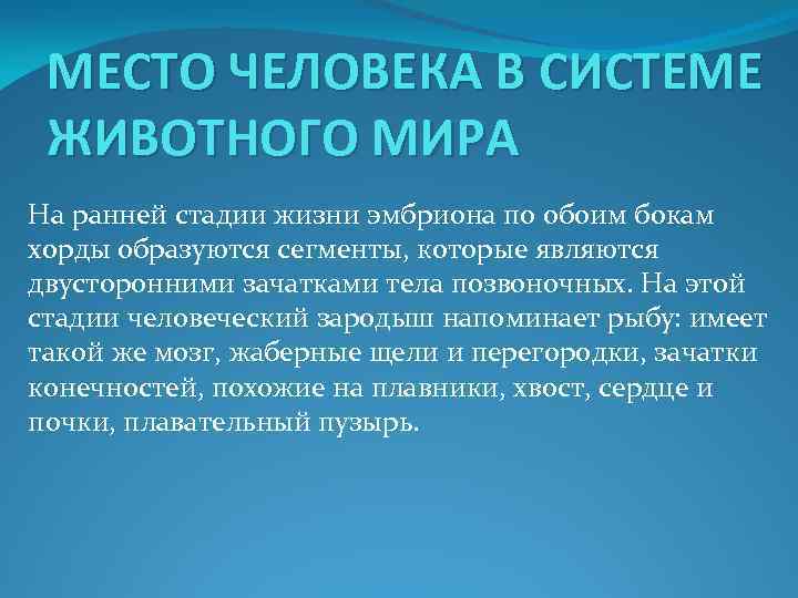 МЕСТО ЧЕЛОВЕКА В СИСТЕМЕ ЖИВОТНОГО МИРА На ранней стадии жизни эмбриона по обоим бокам