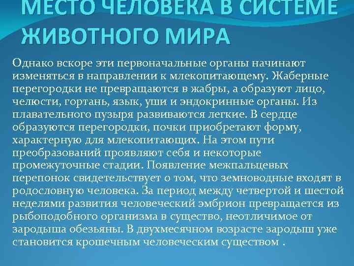 МЕСТО ЧЕЛОВЕКА В СИСТЕМЕ ЖИВОТНОГО МИРА Однако вскоре эти первоначальные органы начинают изменяться в