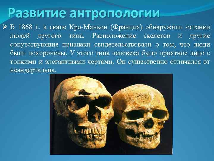 Развитие антропологии Ø В 1868 г. в скале Кро-Маньон (Франция) обнаружили останки людей другого