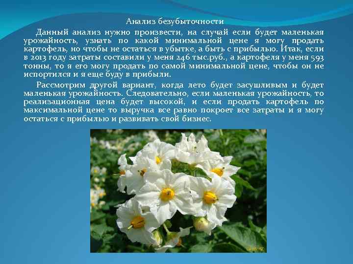 Анализ безубыточности Данный анализ нужно произвести, на случай если будет маленькая урожайность, узнать по