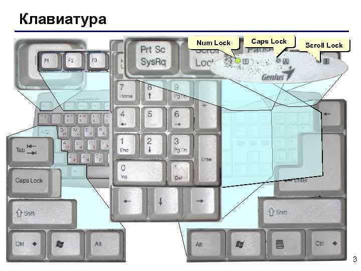 Клавиатура Num Lock Caps Lock Scroll Lock 3 
