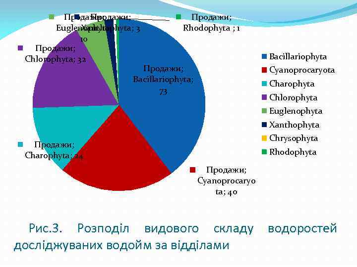 Продажи; Euglenophyta; Xanthophyta; 3 10 Продажи; Chlorophyta; 32 Продажи; Rhodophyta ; 1 Bacillariophyta Продажи;