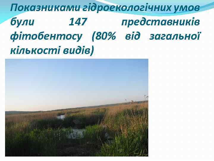 Показниками гідроекологічних умов були 147 представників фітобентосу (80% від загальної кількості видів) 