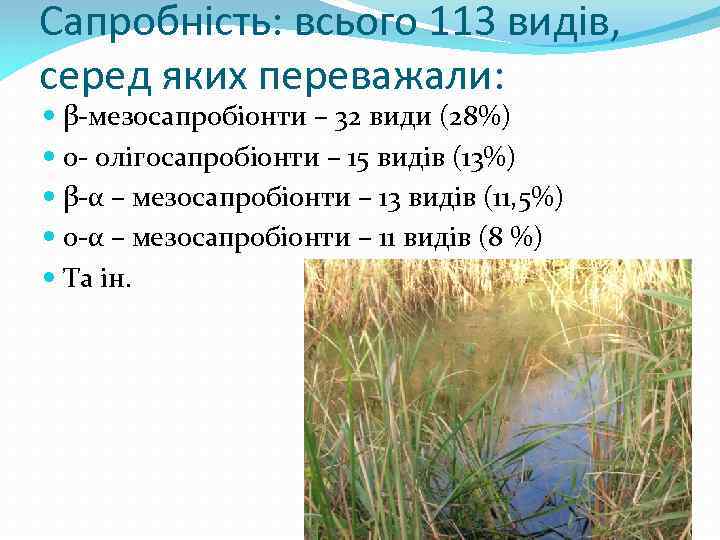 Сапробність: всього 113 видів, серед яких переважали: β-мезосапробіонти – 32 види (28%) 0 -