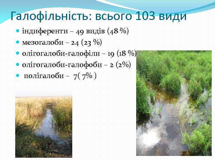 Галофільність: всього 103 види індиференти – 49 видів (48 %) мезогалоби – 24 (23