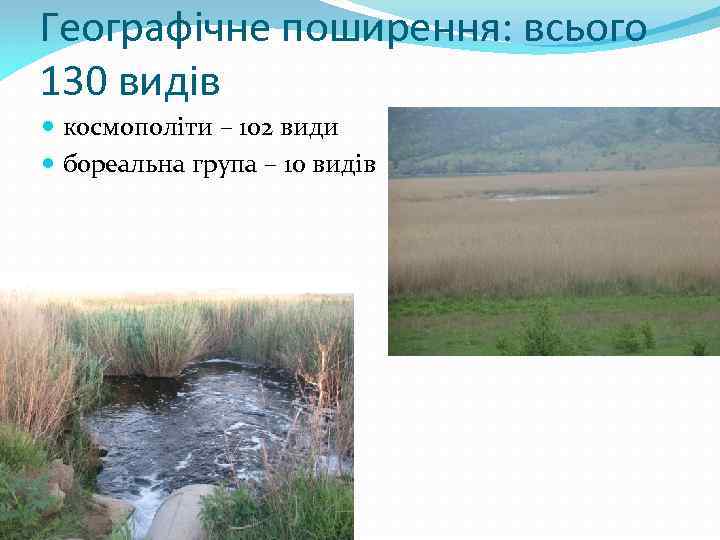 Географічне поширення: всього 130 видів космополіти – 102 види бореальна група – 10 видів