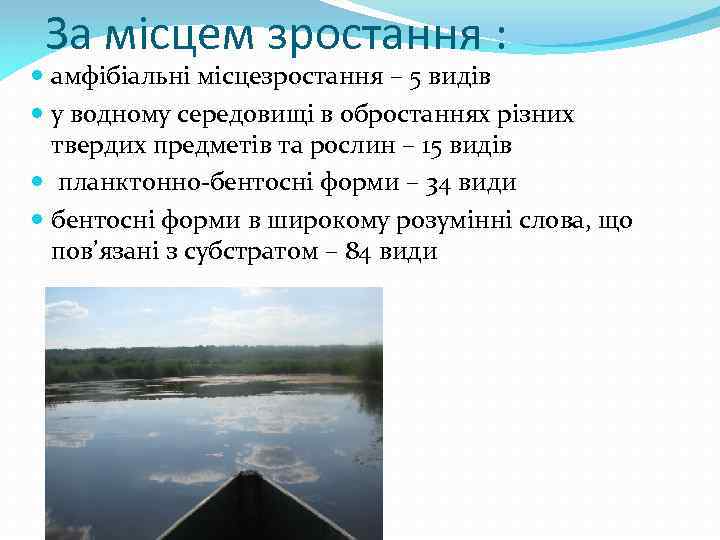 За місцем зростання : амфібіальні місцезростання – 5 видів у водному середовищі в обростаннях