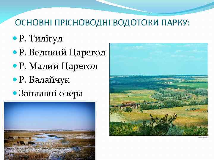 ОСНОВНІ ПРІСНОВОДНІ ВОДОТОКИ ПАРКУ: Р. Тилігул Р. Великий Царегол Р. Малий Царегол Р. Балайчук