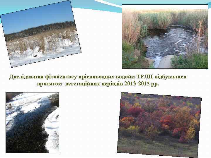 Дослідження фітобентосу прісноводних водойм ТРЛП відбувалися протягом вегетаційних періодів 2013 -2015 рр. 