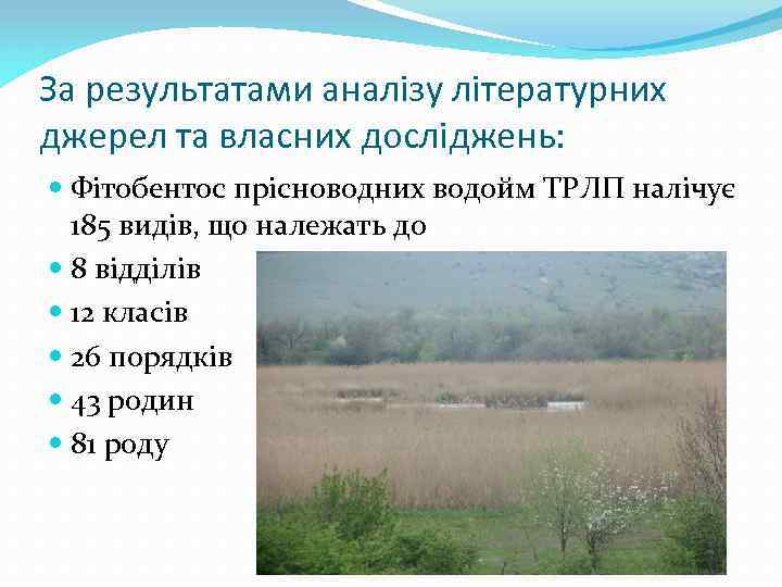 За результатами аналізу літературних джерел та власних досліджень: Фітобентос прісноводних водойм ТРЛП налічує 185