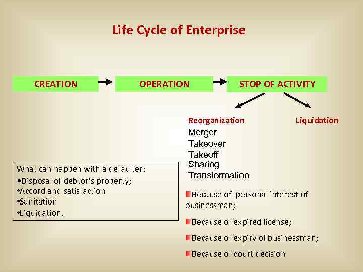 Life Cycle of Enterprise CREATION OPERATION What can happen with a defaulter: • Disposal