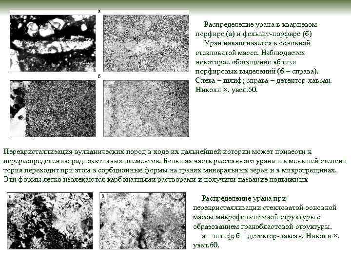 Распределение урана в кварцевом порфире (а) и фельзит-порфире (б) Уран накапливается в основной стекловатой