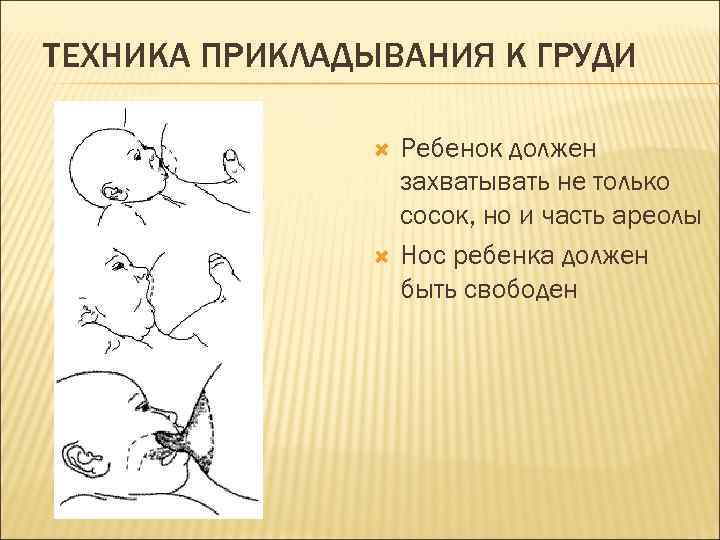 ТЕХНИКА ПРИКЛАДЫВАНИЯ К ГРУДИ Ребенок должен захватывать не только сосок, но и часть ареолы