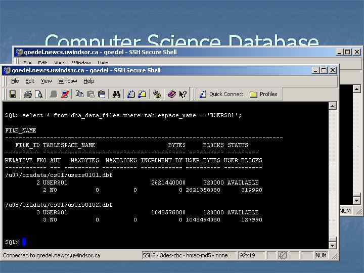 Computer Science Database n n n Instance Name : CS 01 (v$database) Instance Version