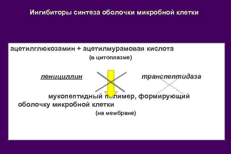 Ингибиторы синтеза оболочки микробной клетки ацетилглюкозамин + ацетилмурамовая кислота (в цитоплазме) пенициллин транспептидаза мукопептидный