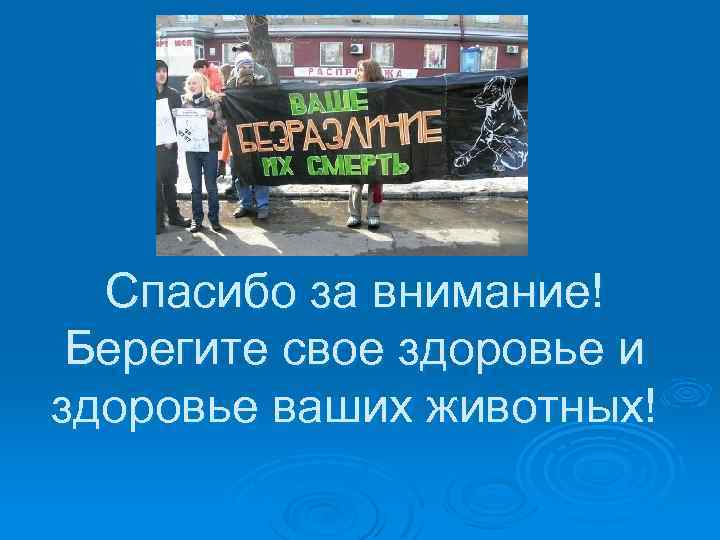 Спасибо за внимание! Берегите свое здоровье и здоровье ваших животных! 