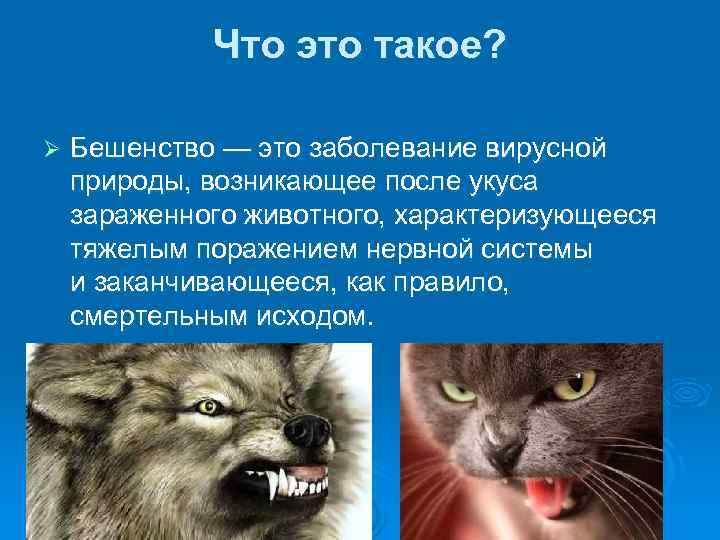 Что это такое? Ø Бешенство — это заболевание вирусной природы, возникающее после укуса зараженного