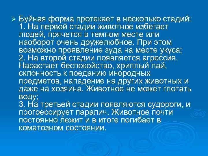 Ø Буйная форма протекает в несколько стадий: 1. На первой стадии животное избегает людей,