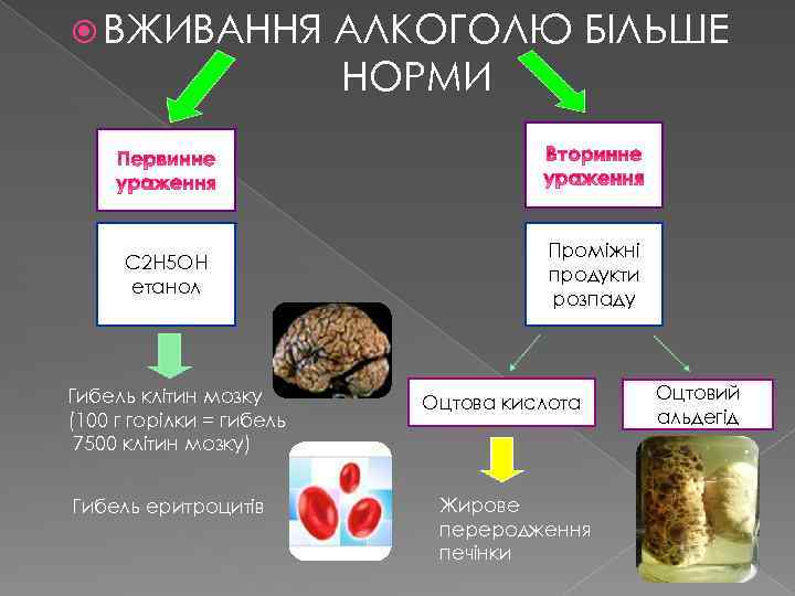  ВЖИВАННЯ С 2 Н 5 ОН етанол Гибель клітин мозку (100 г горілки