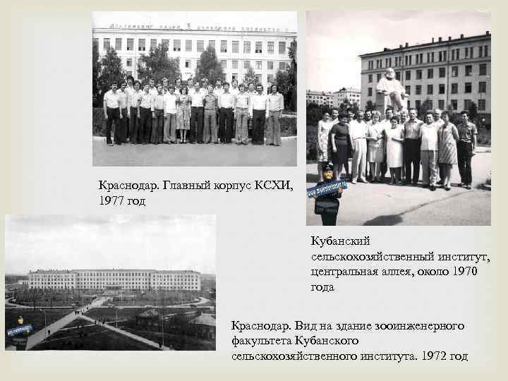 Краснодар. Главный корпус КСХИ, 1977 год Кубанский сельскохозяйственный институт, центральная аллея, около 1970 года