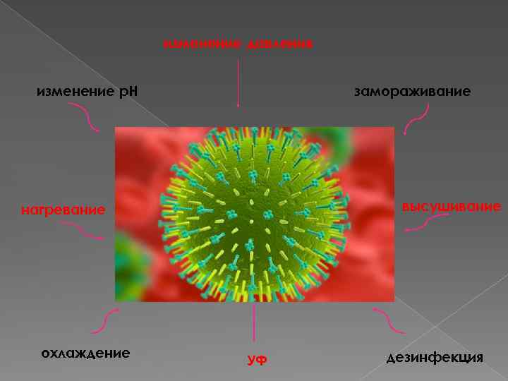 изменение давления изменение p. H замораживание высушивание нагревание охлаждение УФ дезинфекция 