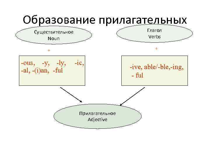 Образование прилагательных Глагол Verbs Существительное Noun + + -ous, -y, -ly, -al, -(i)an, -ful