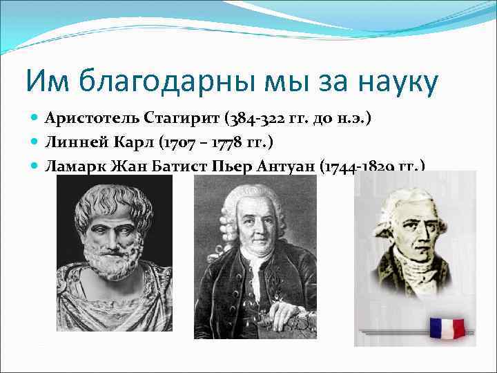 Им благодарны мы за науку Аристотель Стагирит (384 -322 гг. до н. э. )