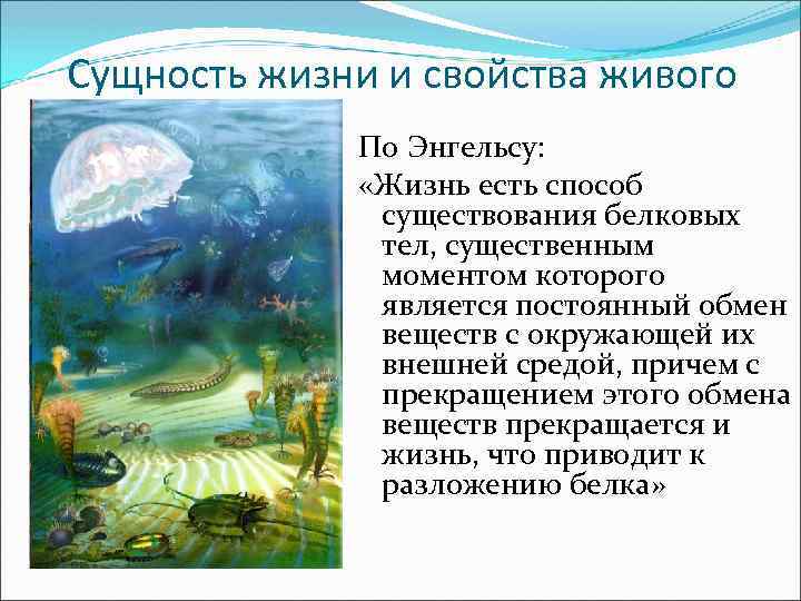 Сущность жизни и свойства живого По Энгельсу: «Жизнь есть способ существования белковых тел, существенным