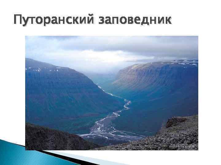 Путоранский заповедник 