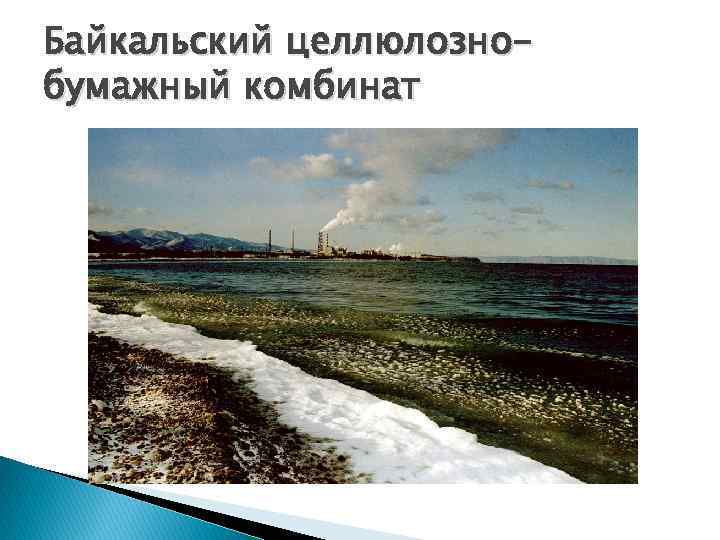 Байкальский целлюлознобумажный комбинат 