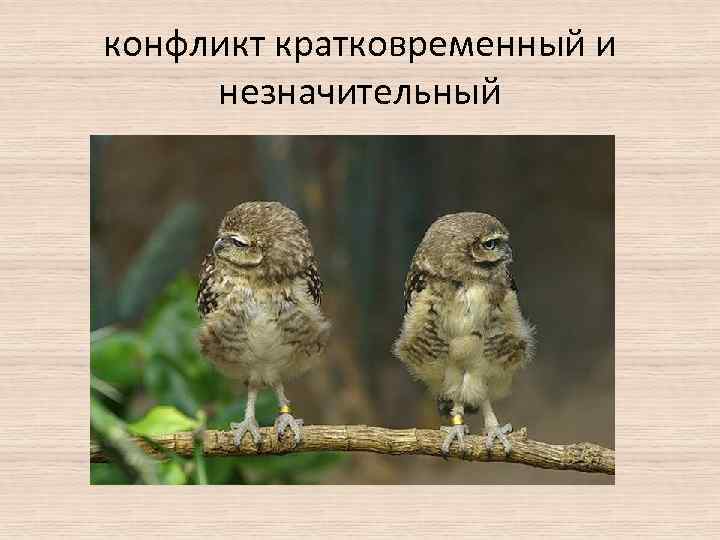 конфликт кратковременный и незначительный 