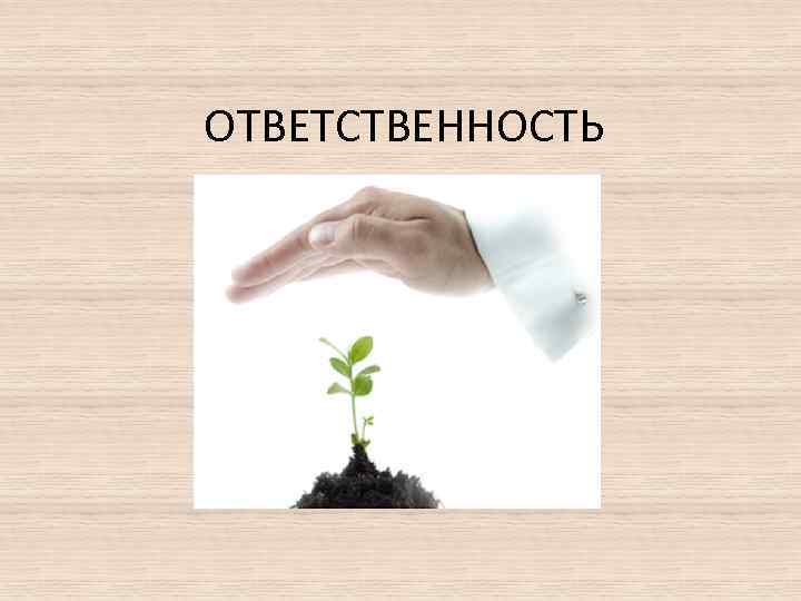 ОТВЕТСТВЕННОСТЬ 