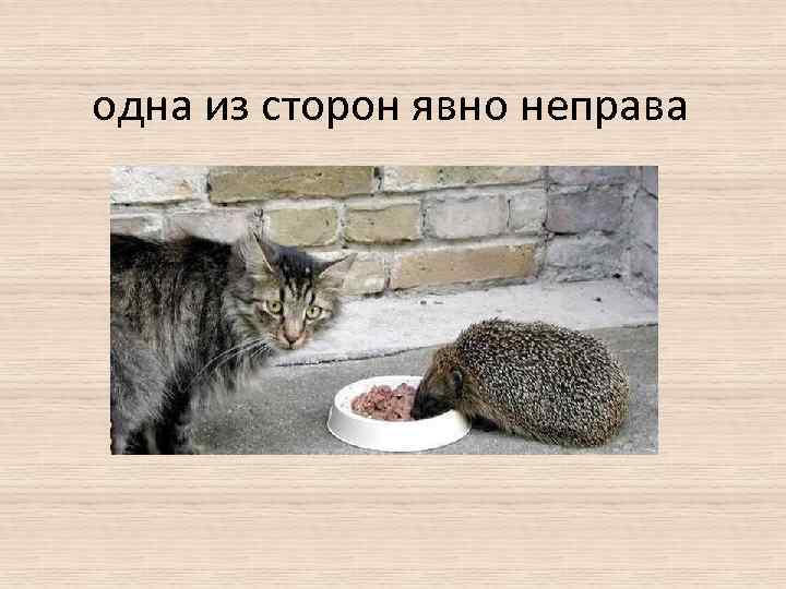 одна из сторон явно неправа 