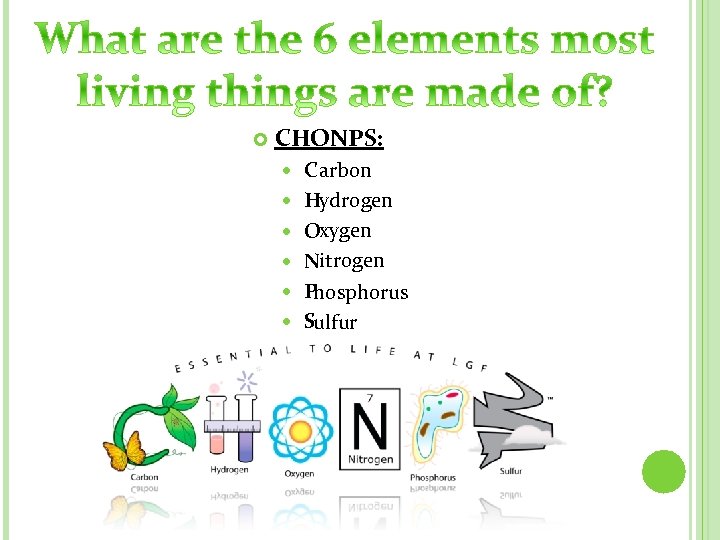  CHONPS: C arbon Hydrogen Oxygen Nitrogen Phosphorus Sulfur 